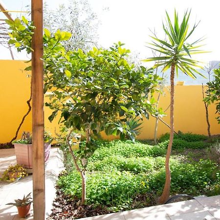 Yellow House-Villetta Con Giardino Oristano Eksteriør billede